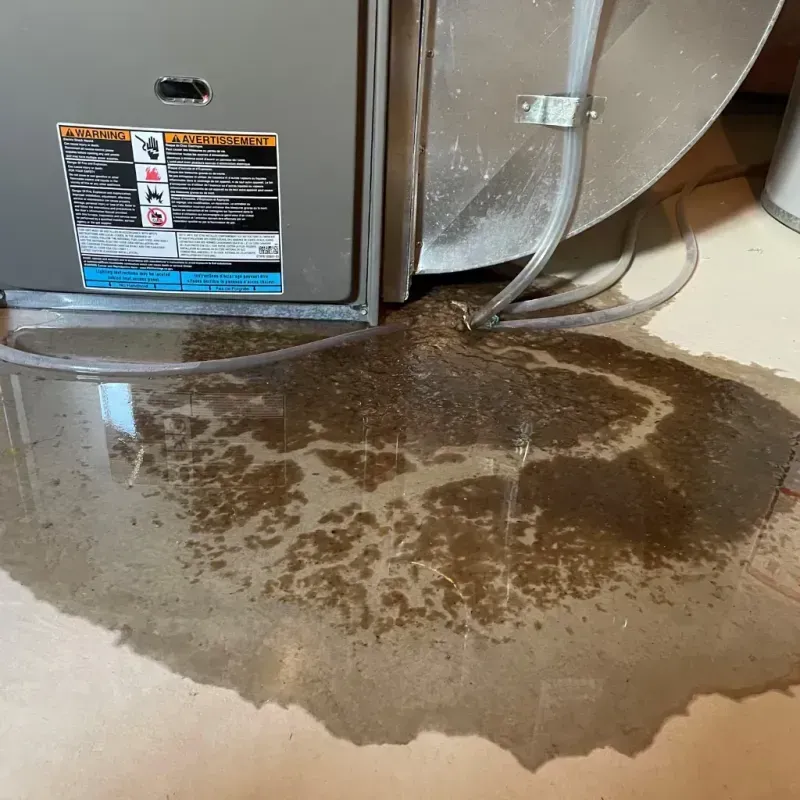 Appliance Leak Cleanup in Long Branch, NJ